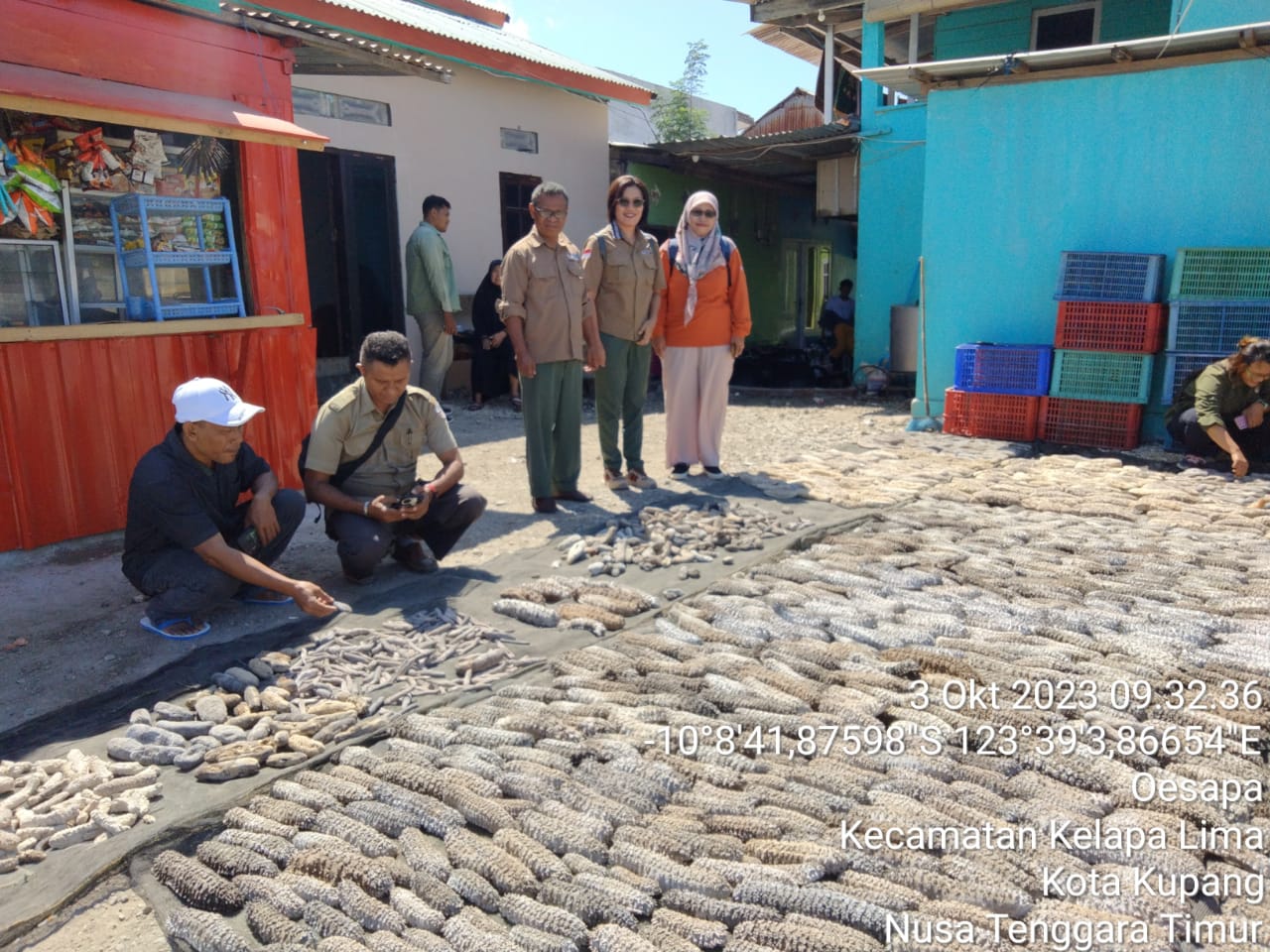 Survey Pemanfaatan Jenis Teripang