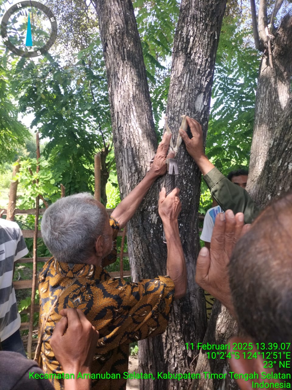 Ritual Adat Kiso’Ma-Pene di Desa Persiapan Maiskolen, Kecamatan Amanuban Selatan, Kabupaten Timor Tengah Selatan