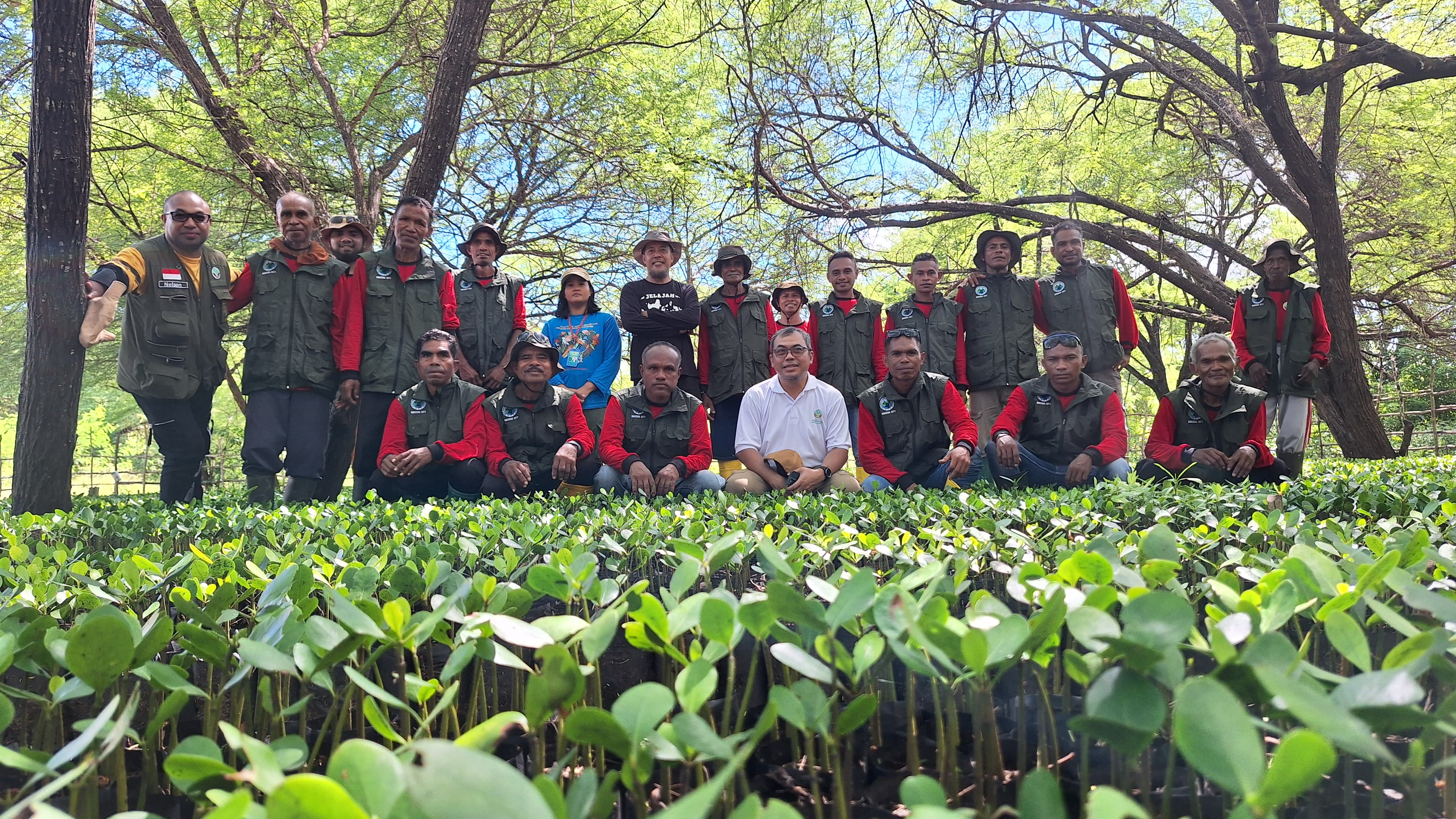 Penanaman 50.000 mangrove di TWA Menipo
