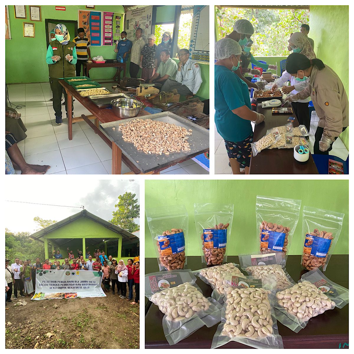 Pelatihan Pengolahan Biji Jambu Mete