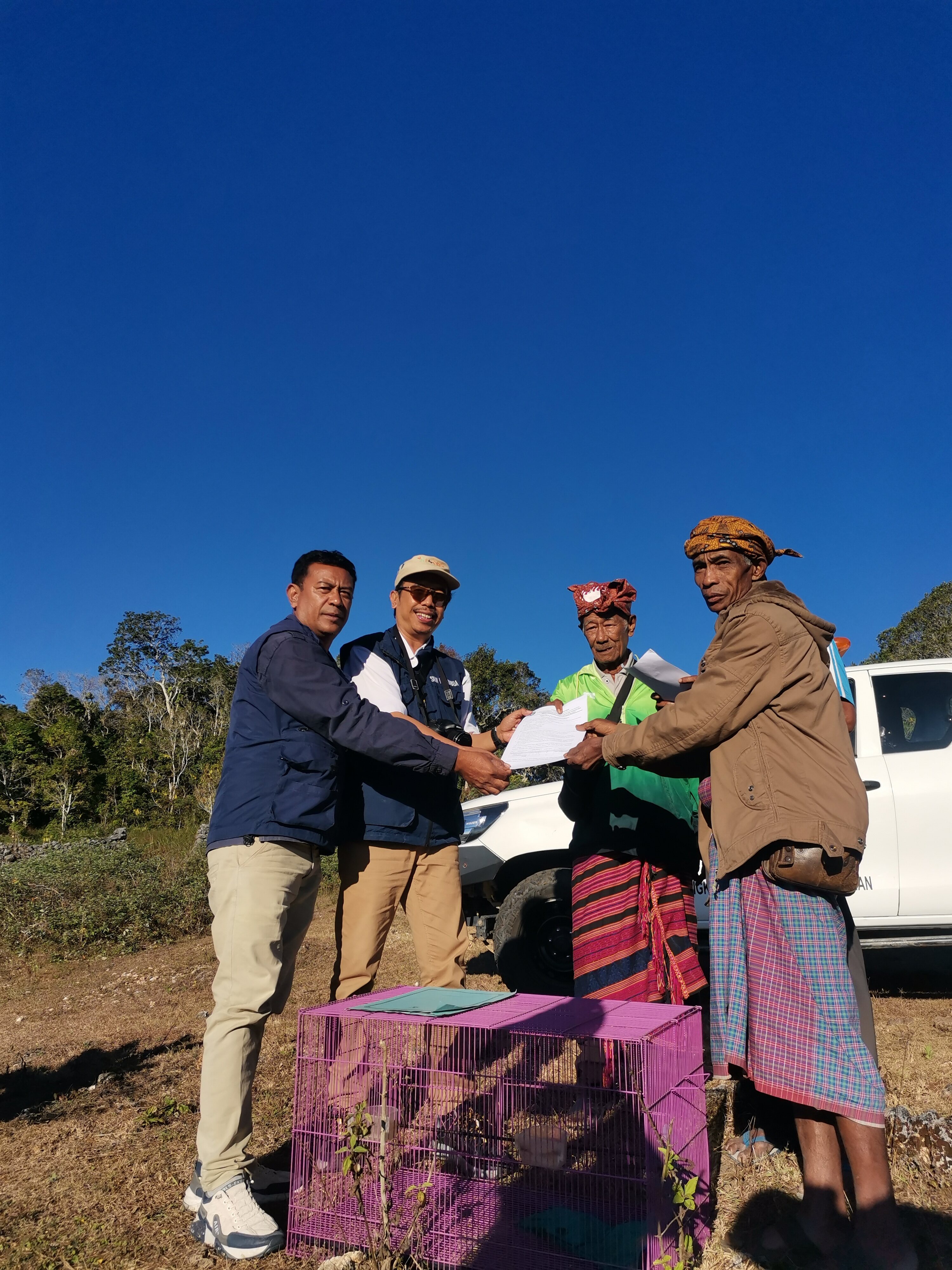 Harmoni Konservasi dan Kearifan Lokal : Pelepasliaran Perkici Timor di Kawasan Hutan Lindung Gunung Lakaan