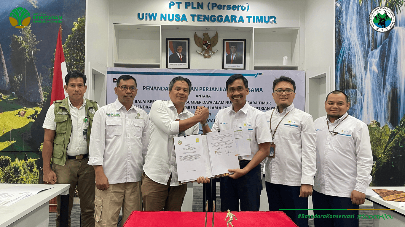 Kolaborasi untuk  NTT Terang