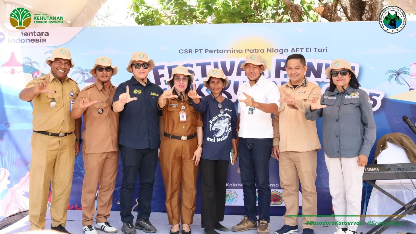 Festival Penyu TWAL Teluk Kupang 2025: Komitmen Bersama Jaga Ekosistem Laut