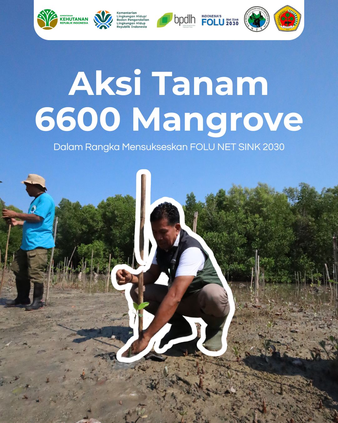 Menanam untuk Masa Depan: Komitmen Kelompok Tani Hutan Dalekesa Hijaukan Pesisir Kupang Tengah