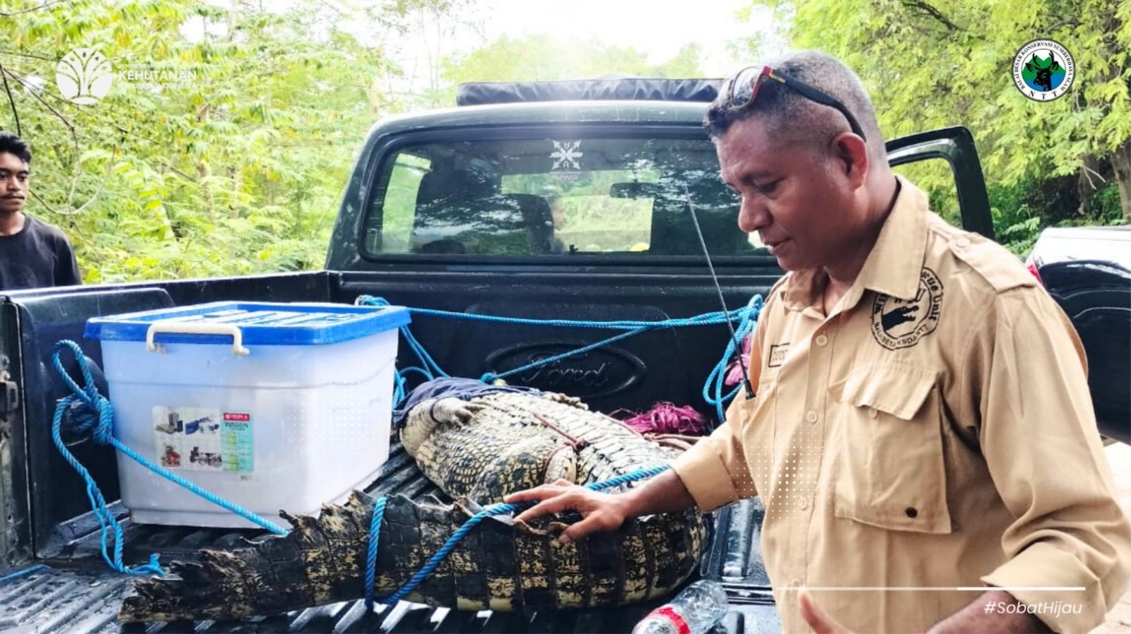 Respon Cepat Penanganan Konflik Satwa Liar Buaya Muara di Desa Buraen, Kabupaten Kupang